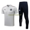 Manchester City Trainings Poloshirt 2022-23 Hellgraue Für Herren